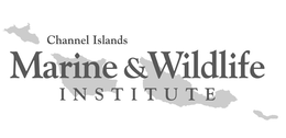 CHANNEL ISLANDS MARINE & WILDLIFE INSTITUTE trademark