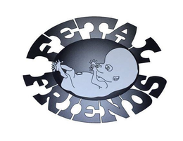 FETAL FRIENDS trademark
