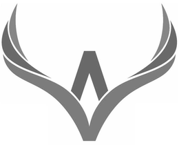 V trademark