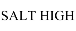 SALT HIGH trademark