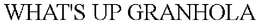 WHAT'S UP GRANHOLA trademark