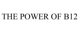 THE POWER OF B12 trademark