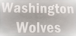 WASHINGTON WOLVES trademark