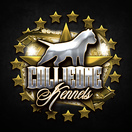 COLLIEONE KENNELS trademark