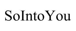 SOINTOYOU trademark