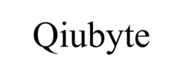 QIUBYTE trademark