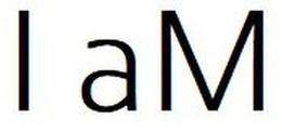 I AM trademark