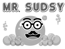 MR. SUDSY trademark