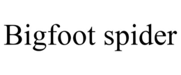 BIGFOOT SPIDER trademark