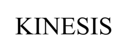 KINESIS trademark