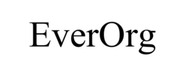 EVERORG trademark