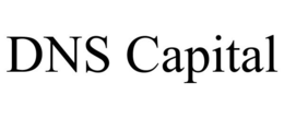DNS CAPITAL trademark