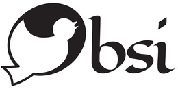 OBSI trademark