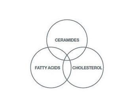 FATTY ACIDS CERAMIDES CHOLESTEROL trademark