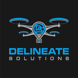 DS DELINEATE SOLUTIONS trademark