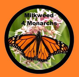 MILKWEED 4 MONARCHS trademark