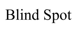 BLIND SPOT trademark