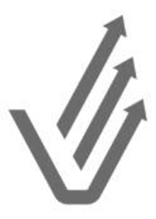 V trademark