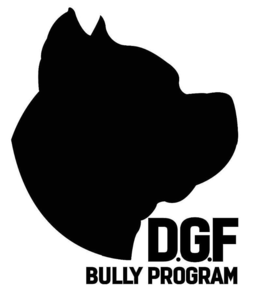 D.G.F BULLY PROGRAM trademark
