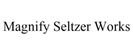 MAGNIFY SELTZER WORKS trademark