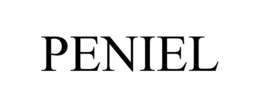 PENIEL trademark