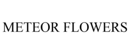 METEOR FLOWERS trademark