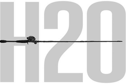 H20 trademark