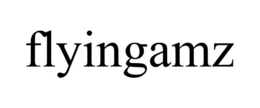 FLYINGAMZ trademark