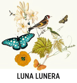 LUNA LUNERA trademark
