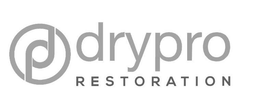DP DRYPRO RESTORATION trademark