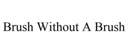 BRUSH WITHOUT A BRUSH trademark