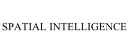SPATIAL INTELLIGENCE trademark