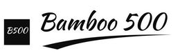 B500 BAMBOO 500 trademark