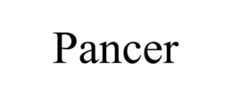 PANCER trademark