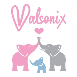 VALSONIX trademark