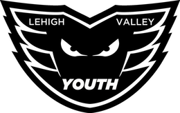 LEHIGH VALLEY YOUTH trademark
