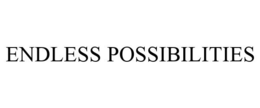 ENDLESS POSSIBILITIES trademark
