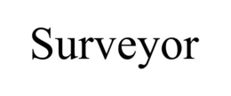 SURVEYOR trademark