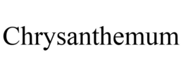 CHRYSANTHEMUM trademark