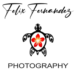 FELIX FERNANDEZ PHOTOGRAPHY trademark