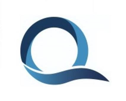 Q trademark