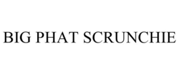 BIG PHAT SCRUNCHIE trademark