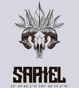 SARIEL 20 49' 48. 2'' N 103 43' 15. 6'' W trademark