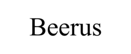 BEERUS trademark