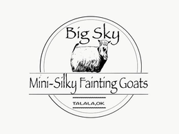 BIG SKY MINI SILKY FAINTING GOATS TALALA, OK trademark