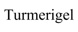 TURMERIGEL trademark