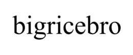 BIGRICEBRO trademark