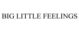 BIG LITTLE FEELINGS trademark