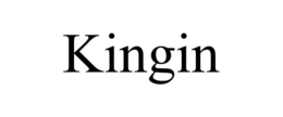 KINGIN trademark