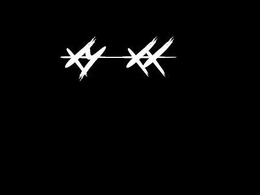 XY XX trademark